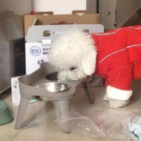 Tigelas Elevadas para Cães - Alimentação Confortável e Saudável