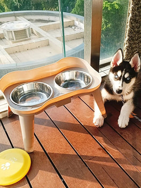 Tigelas Elevadas para Cães - Alimentação Confortável e Saudável