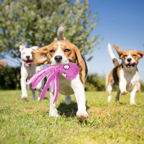 Brinquedo Squeaky para Cães - Brinquedo Interativo de Pelúcia em Forma de Polvo para Cães e Gatos, sem Recheio, com Som e Textura Crocante, Ideal para Filhotes e Cães de Todos os Tamanhos