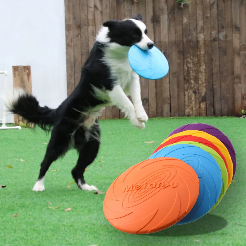 Disco Voador Multifuncional para Cães - OUZEY